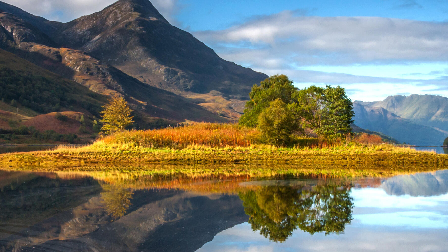 Faucibus nisl tincidunt